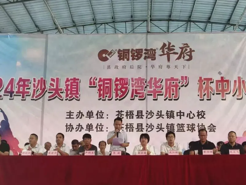 青少年篮球爱好者综合训练方案_0